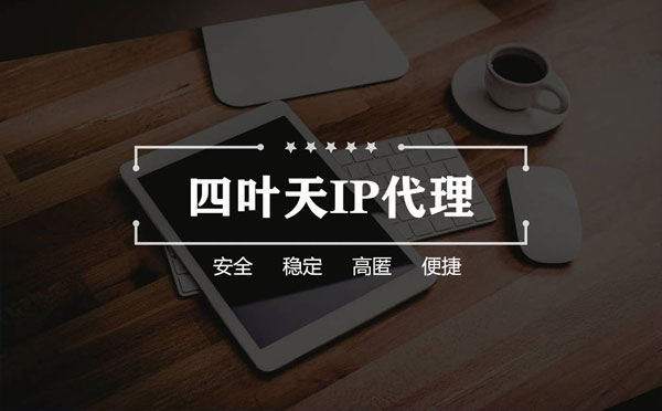 【德州代理IP】如何快速搭建代理IP？怎么检查代理的效果？